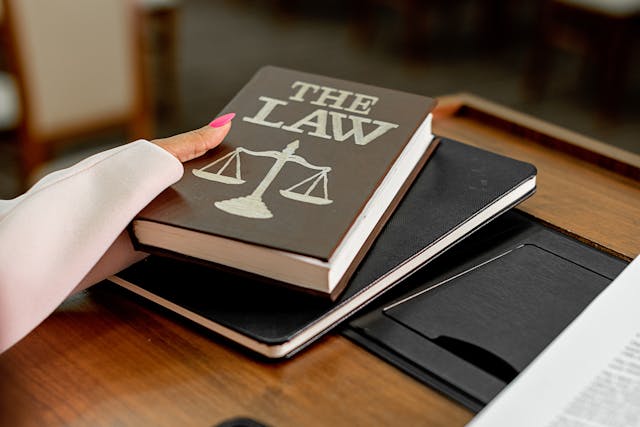 person holding a law book